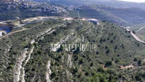 Admateinu Vip Land Givat Zeev 9 Logo